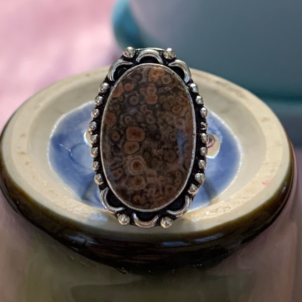 Genuine fossilized gemstone silver ring. Size 5.5